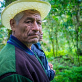 Organic Mexico, Red 5 de Diciembre
