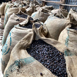 Corporate Sample Request