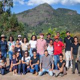 Brazil Peaberry from Black Coffee Producers