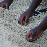 Rwanda Kinini Village