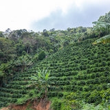 Brazil Serra Das Cabecas