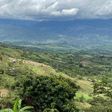 Peru Canaris Lambayeque - Natural Process