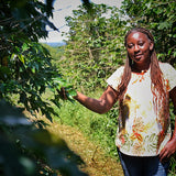 Brazil Peaberry from Black Coffee Producers