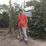 A contributing member of CENFROCAFE.  Typical farmers in Peru have parcels that are a couple hectares(there are no large estates as land was taken from the wealthy land owners and redistributed to the poor during the 60's and 70's).  The land is farmed with the help of their families and income is below minimum wage.  By selling their coffee as Fair Trade/Organic a minimum price is guaranteed when the 'C market' is below a certain point.