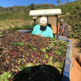 Brazil Mogiana