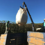 Gathering picked cherries at Fazenda Passeio.