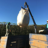 Gathering picked cherries at Fazenda Passeio.
